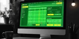 A Comprehensive Guide to BetWinner Sportsbook