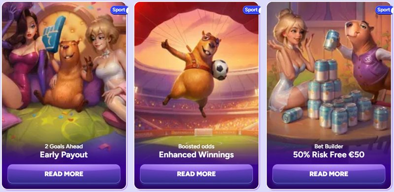 Overview of spinbara bonus